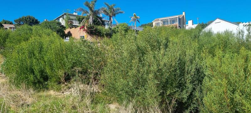 0 Bedroom Property for Sale in Groot Brakrivier Central Western Cape